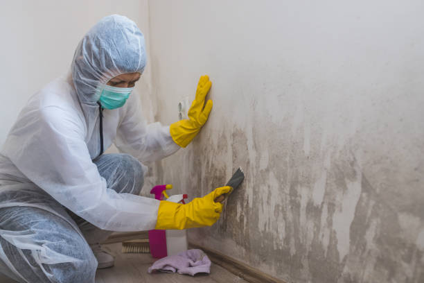 Best Mold Testing  in Bren Bow, OK