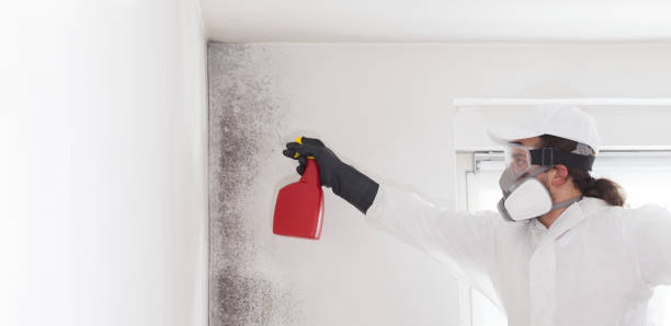 Best Mold Remediation  in Bren Bow, OK