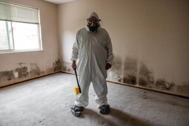 Best Best Mold Removal Companies  in Bren Bow, OK