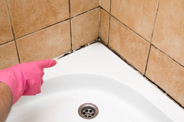 Best Mold Cleaning Services  in Bren Bow, OK